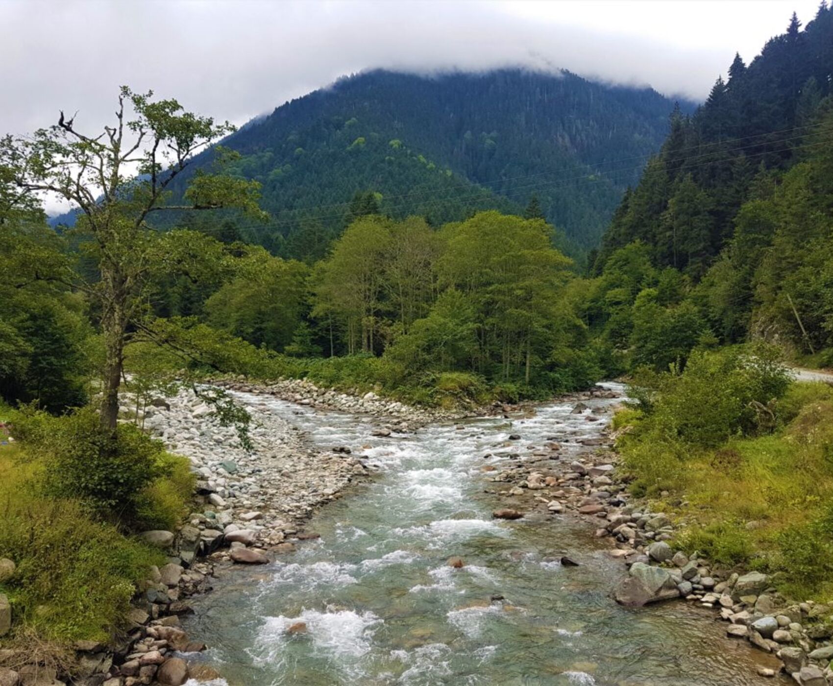 UÇAKLI VAN KARS KARADENİZ BATUM  TURU
