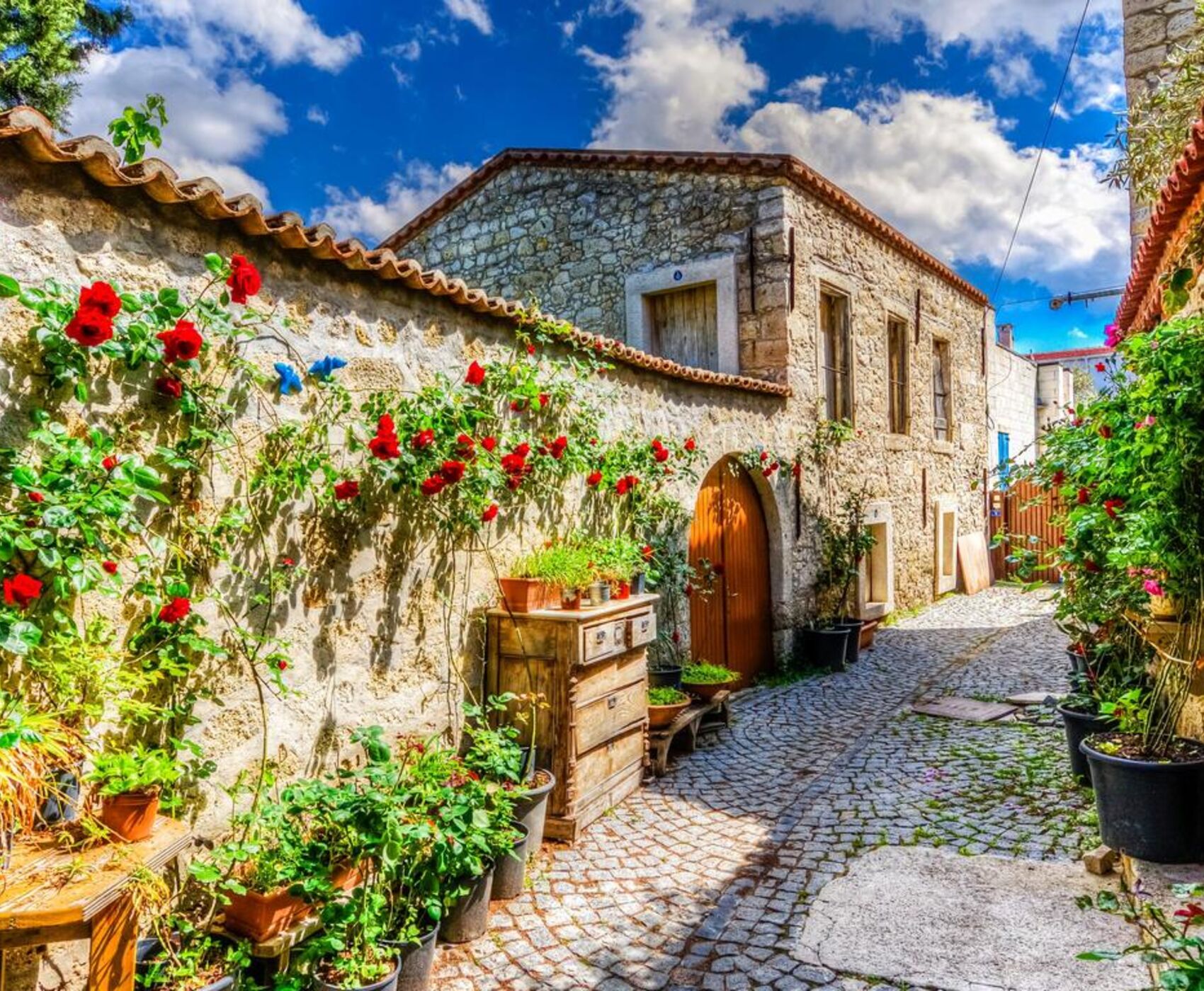 UÇAKLI BÜYÜK EGE İZMİR GÖKÇEADA BOZCAADA AYVALIK TURU