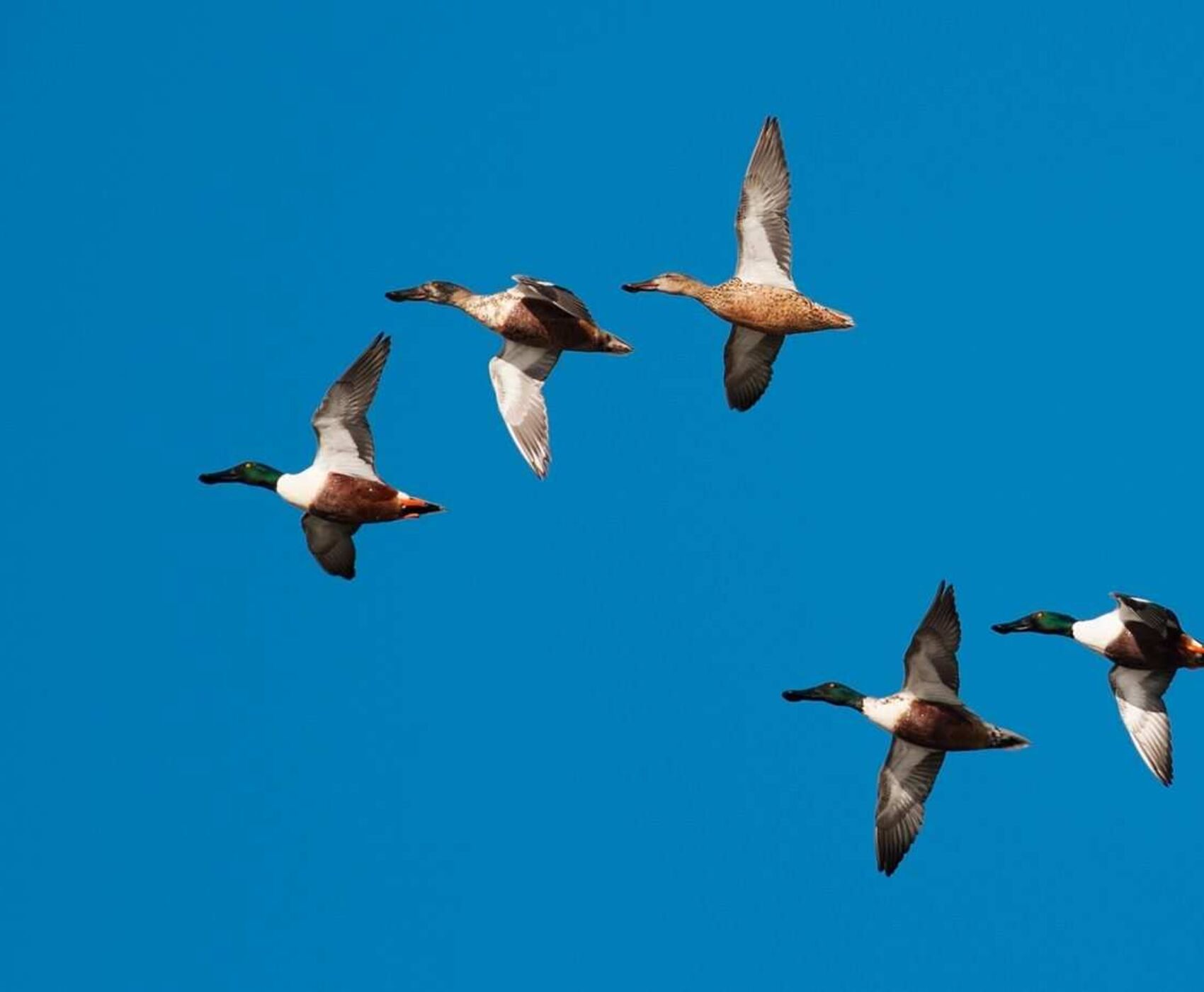 UÇAKLI BAŞTAN BAŞA MARMARA TURU