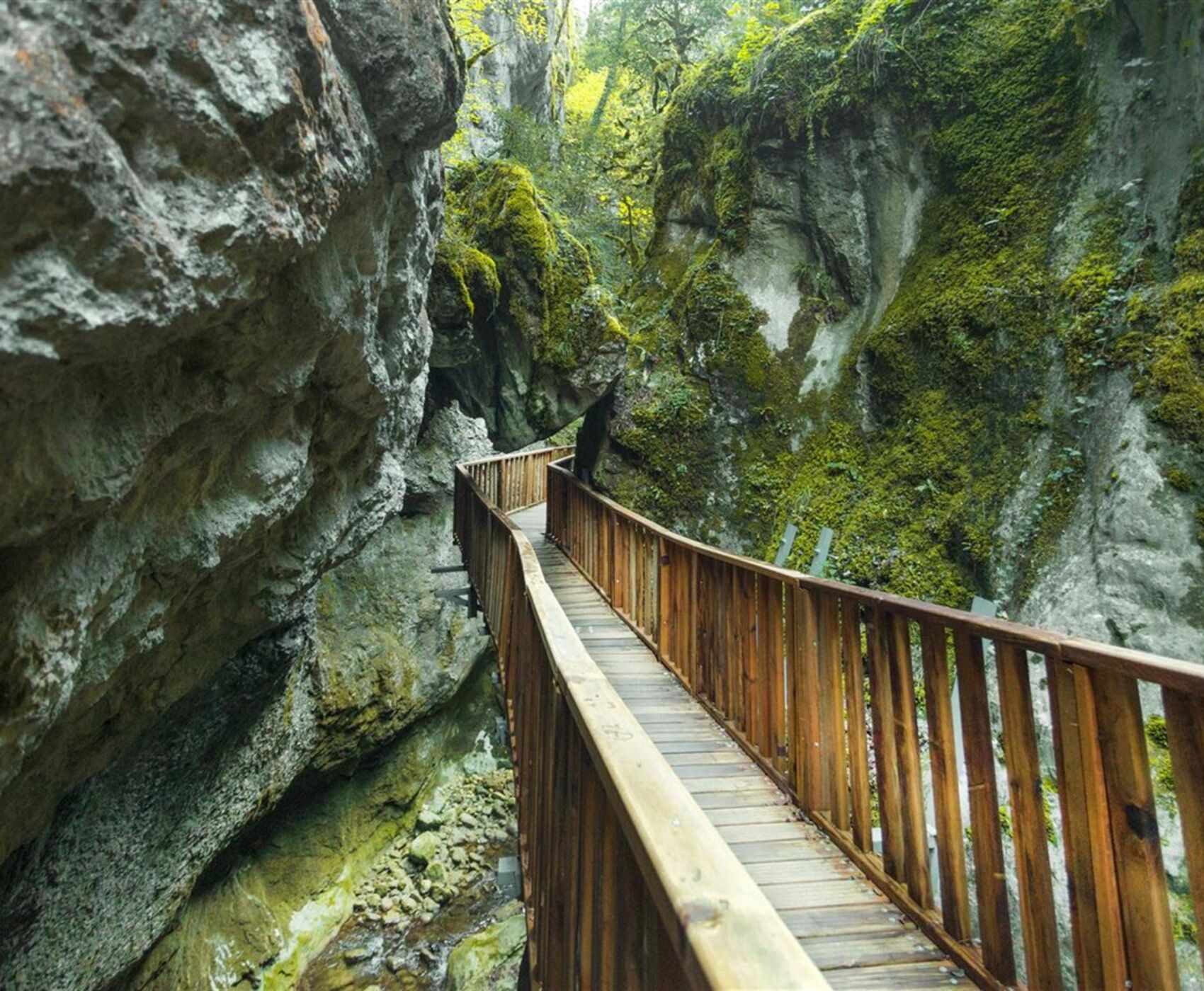 UÇAKLI SAMSUN SİNOP KASTAMONU SAFRANBOLU  19 MAYIS  ÖZEL TURU