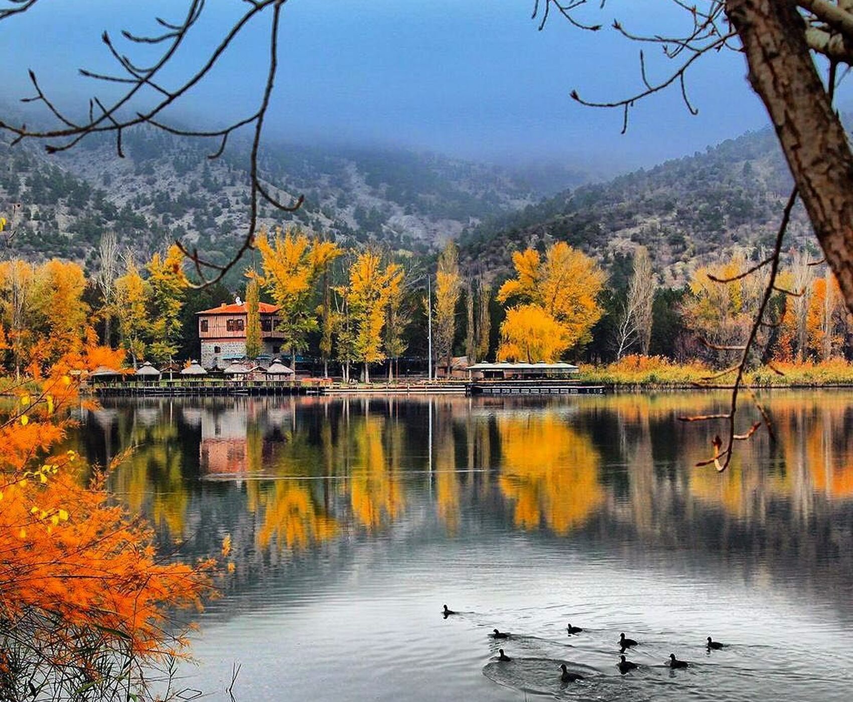 BAYINDIR ÇİÇEK FESTİVALİ