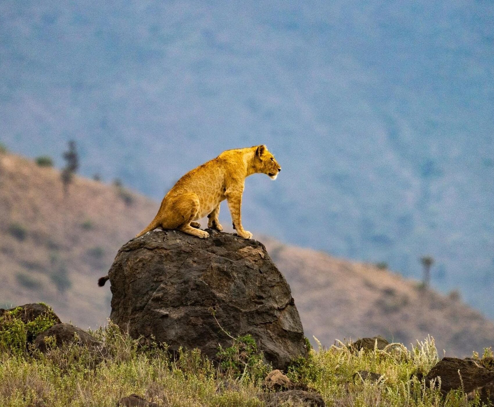 ANTALYA DAN İSTANBUL AKTARMALI TANZANYA & ZANZİBAR