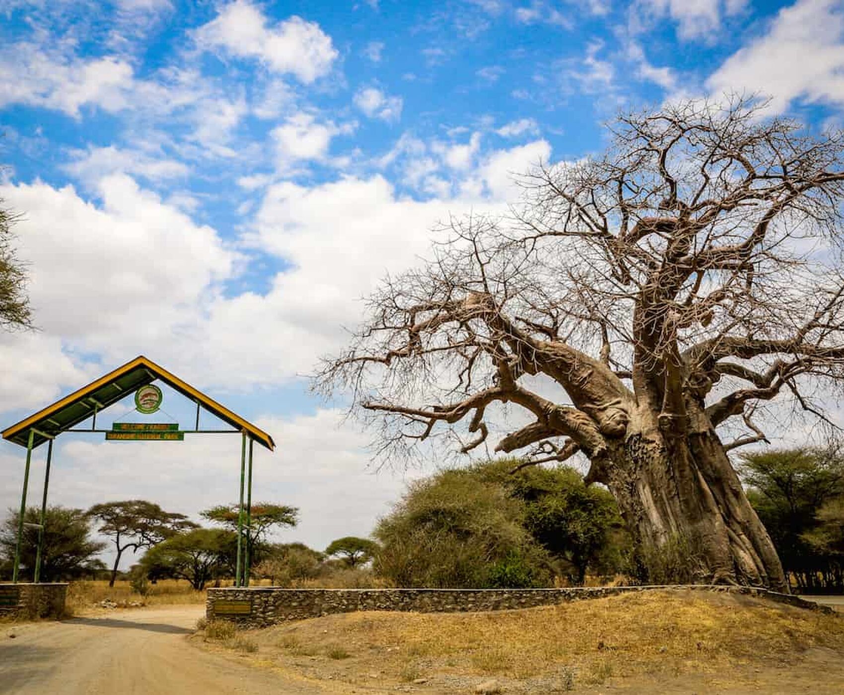 ANTALYA DAN İSTANBUL AKTARMALI TANZANYA & ZANZİBAR