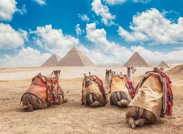 Ankara Hareketli Nil’in Görkemli Dörtlüsü Hurghada & Luxor & İskenderiye & Kahire Turu