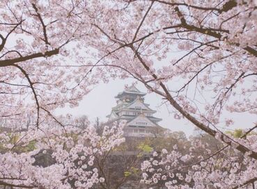 İstanbul Çıkışlı Sakura Zamanında Japonya & Kore Turu Tüm Turlar Dahil