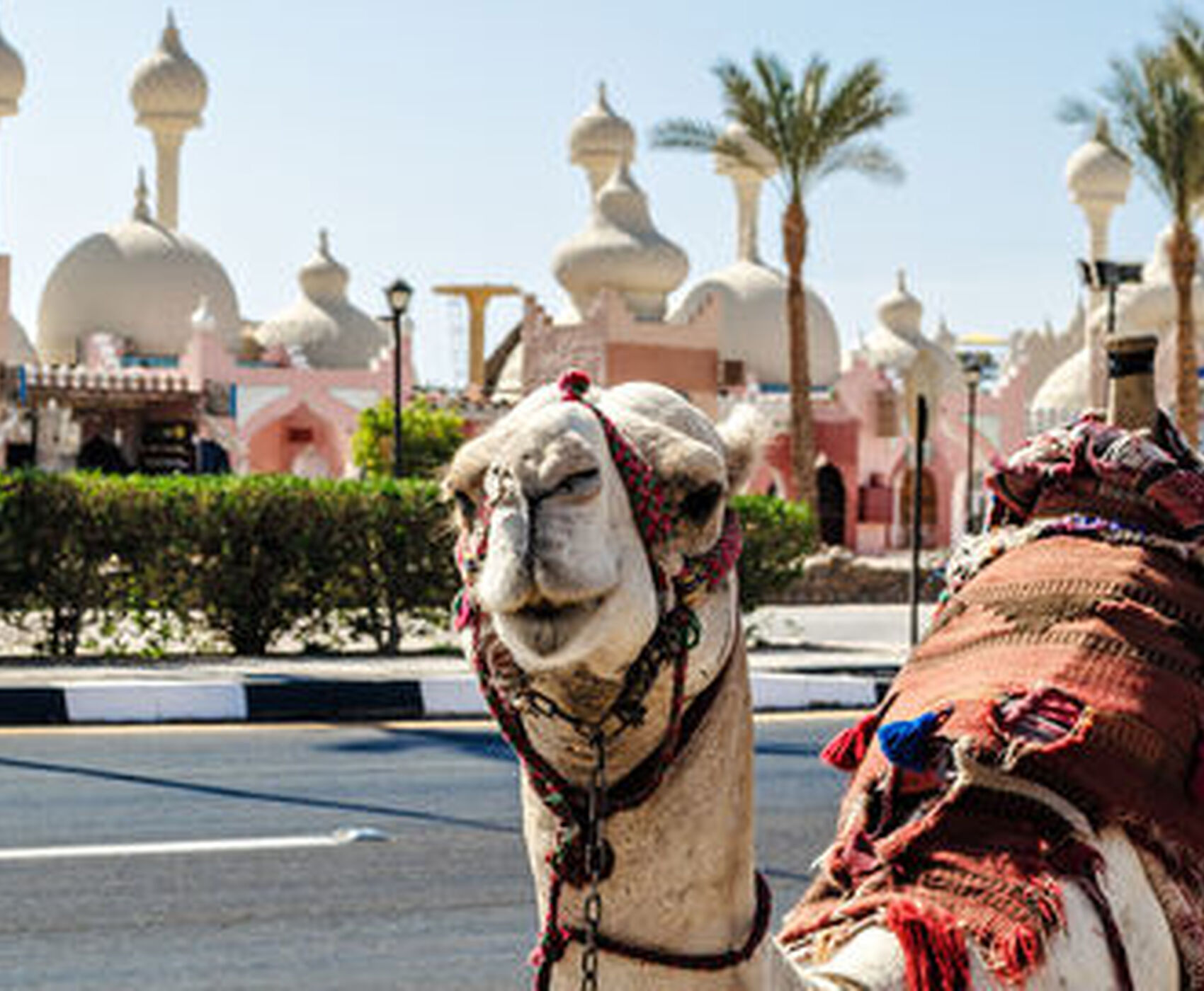 SHARM EL SHEIKH KAHİRE ( MISIR TURU ) 3 GECE