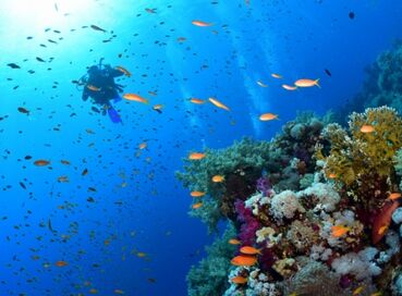 ADANA’DAN SHARM EL SHEIKH TURU Air Cairo Havayolları Özel Seferi ile 3 gece