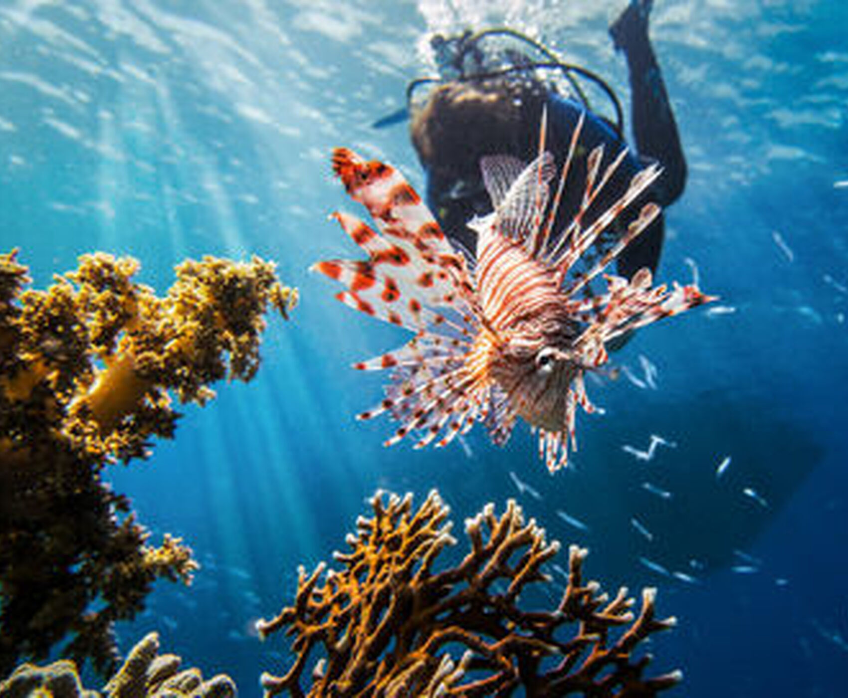 ANTALYADAN DİREKT UÇAKLI SHARM & KAHİRE MACERASI TURU