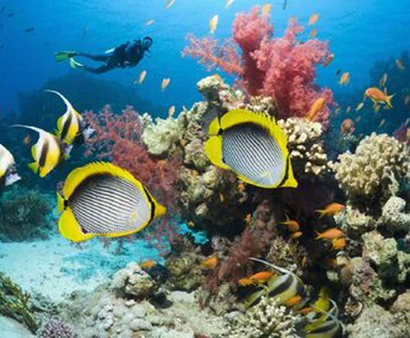 ANTALYADAN DİREKT UÇAKLI SHARM & KAHİRE MACERASI TURU