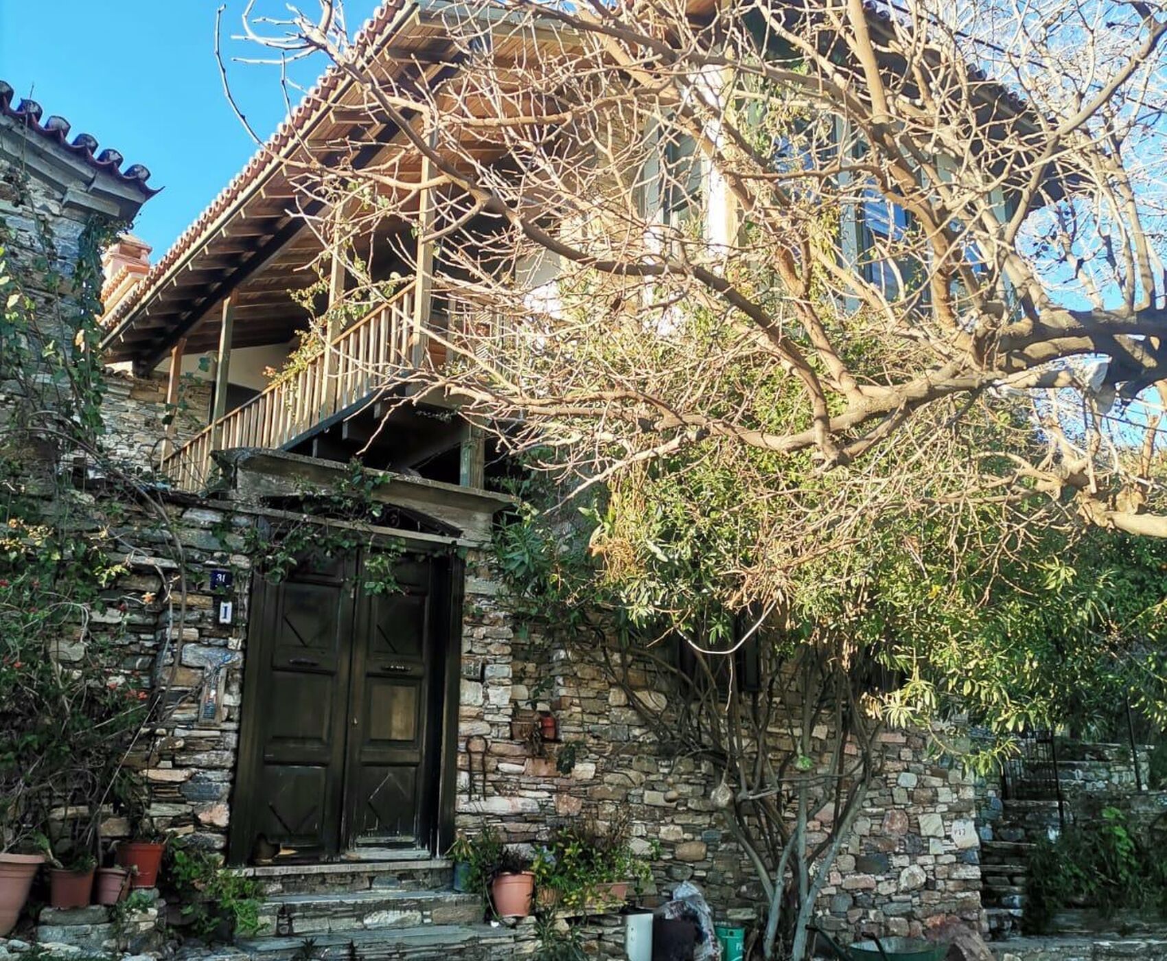 EGE'NİN EN RENKLİ KIŞ FESTİVALİ - NERGİS FESTİVALİ ROTASI