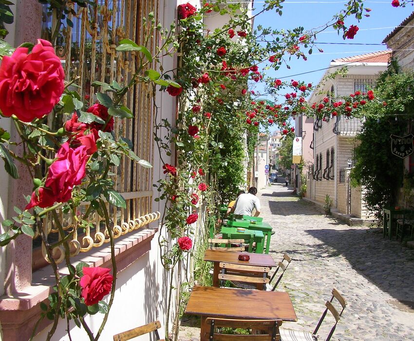 UÇAKLI BÜYÜK EGE İZMİR GÖKÇEADA BOZCAADA AYVALIK TURU