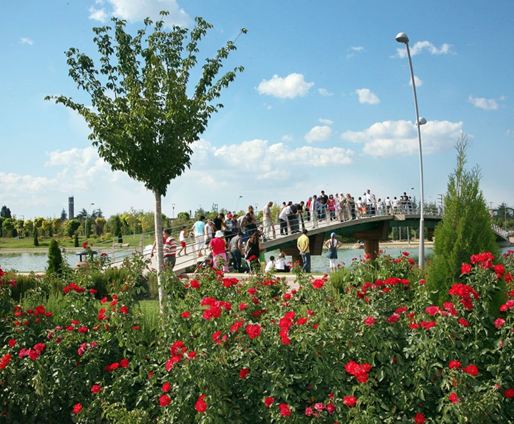 FRİG VADİSİ VE ESKİŞEHİR TURU 