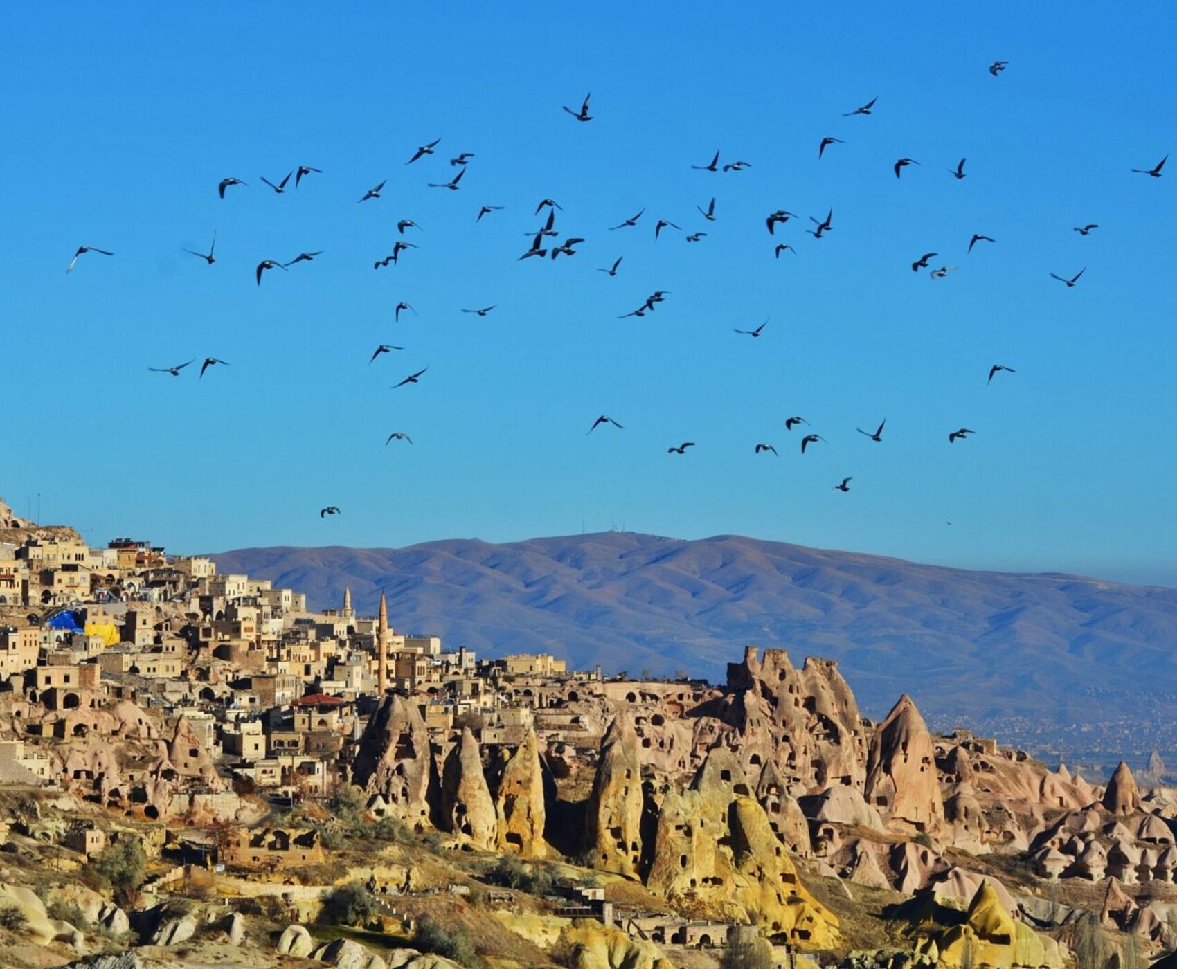 (KAPADOKYA) جولة  في  مدينة  كابادوكيا  ليلثان  وثلات  أيام 