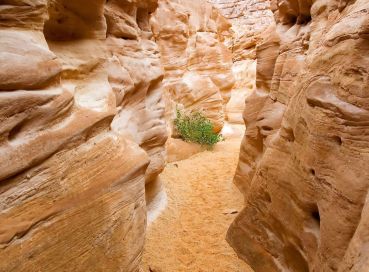 Sharm el Sheikh – Gündüz Uçakları – Her Şey Dahil Konaklama – 4 Gece / 5 Gün- Şehir Turu Dahil – Pegasus Havayolları Tarifeli Seferleri ile Türkiye’nin Her Yerinden Bağlantı İmkânı 