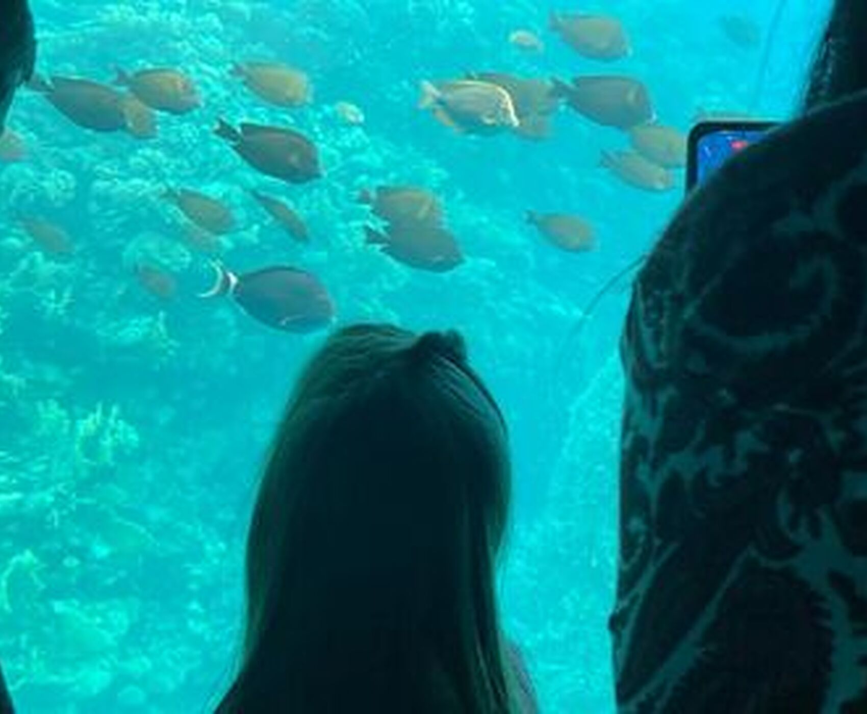 ANTALYADAN DİREKT UÇAKLI HERŞEY DAHİL KAHİRE & SHARM EL SHEİKH KIZILDENİZDEKİ CENNET AKVARYUM!!!!!! - 19 MART - 26 MART