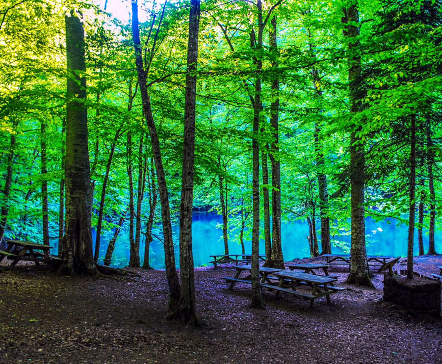 OTOBÜS İLE BUTİK BATI KARADENİZ TURU